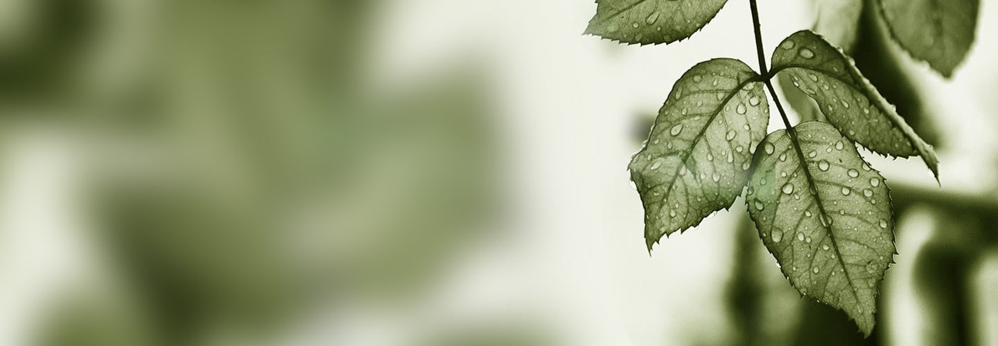 Top 5 gadgets to buy this Monsoon 2019