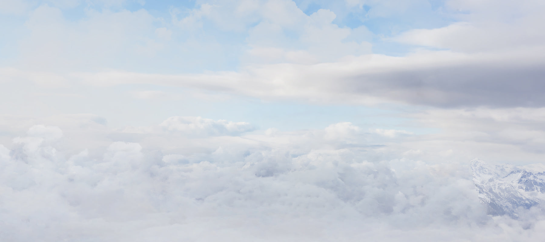 Base Background Desktop
